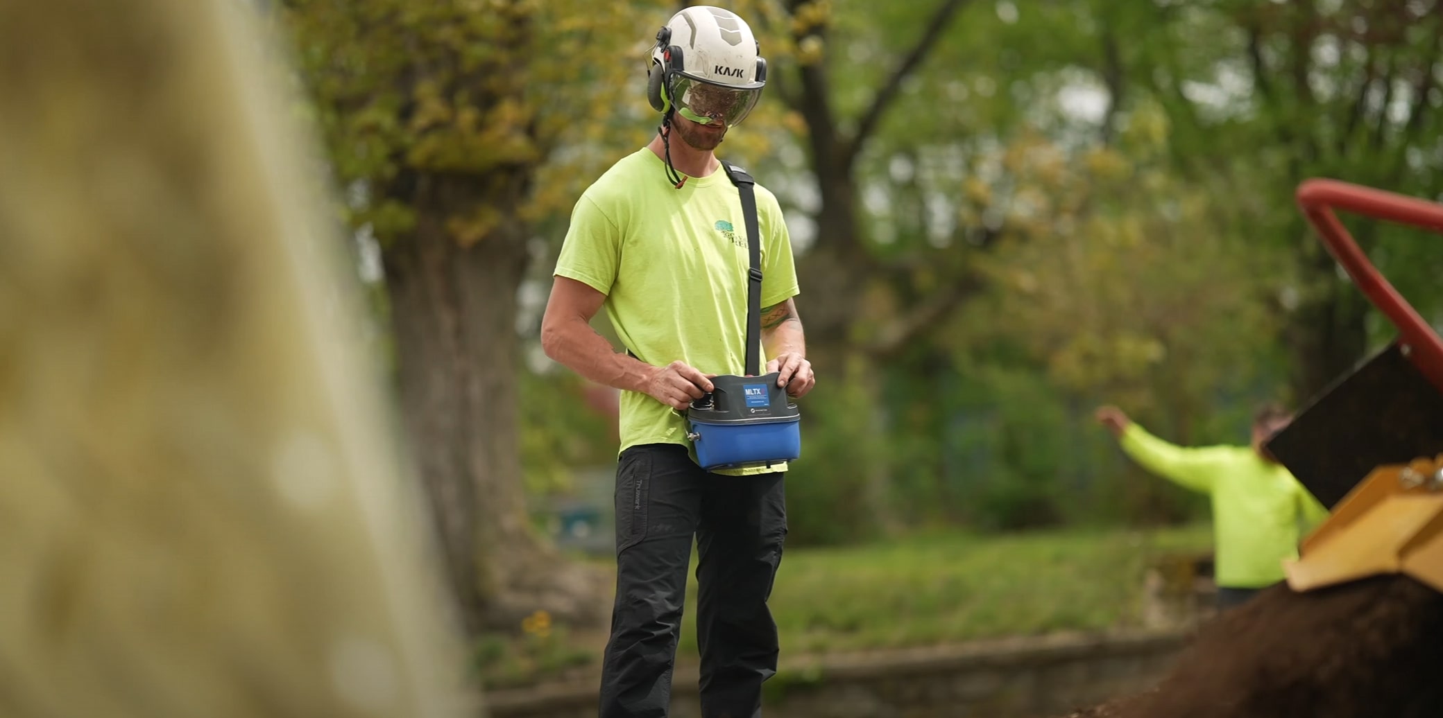 Professional tree service technician performing tree trimming in Ontario, CA